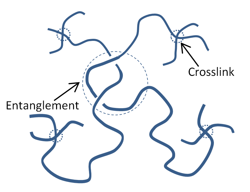 Rubber Elasticity
